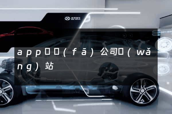 app開發(fā)公司網(wǎng)站