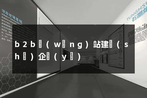 b2b網(wǎng)站建設(shè)企業(yè)