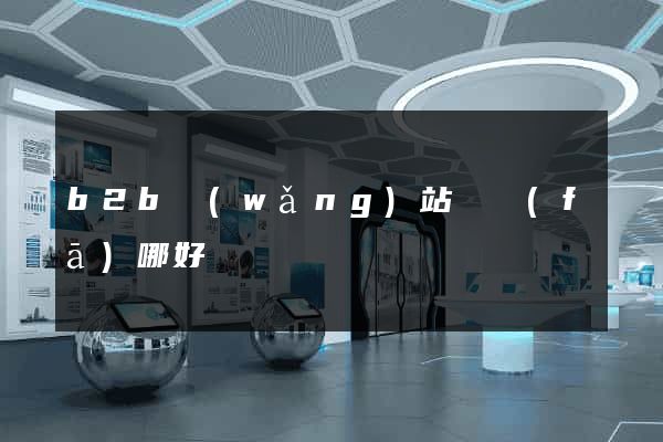 b2b網(wǎng)站開發(fā)哪好