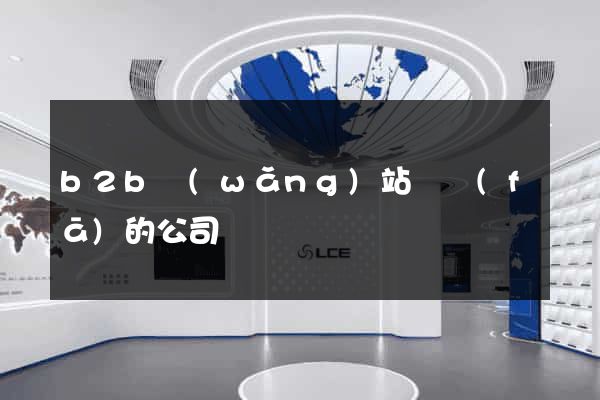 b2b網(wǎng)站開發(fā)的公司