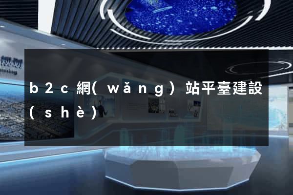 b2c網(wǎng)站平臺建設(shè)