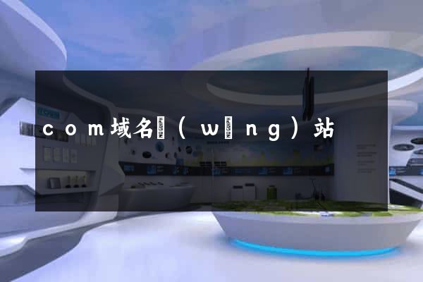 com域名網(wǎng)站