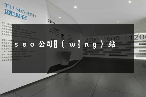 seo公司網(wǎng)站