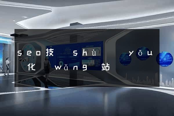 seo技術(shù)優(yōu)化網(wǎng)站