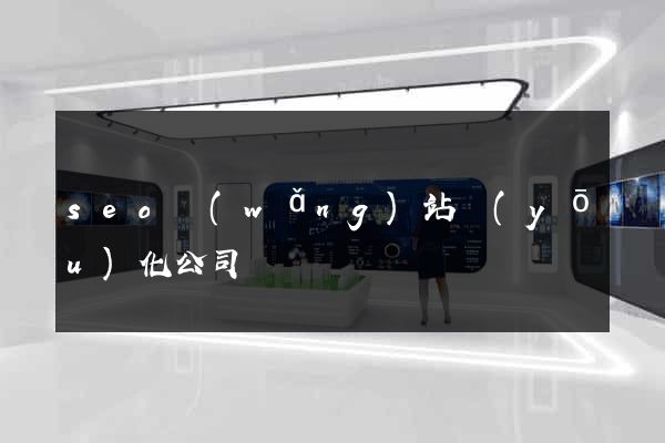 seo網(wǎng)站優(yōu)化公司