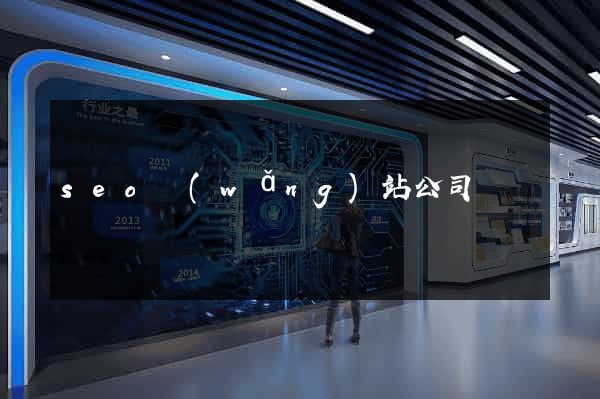 seo網(wǎng)站公司