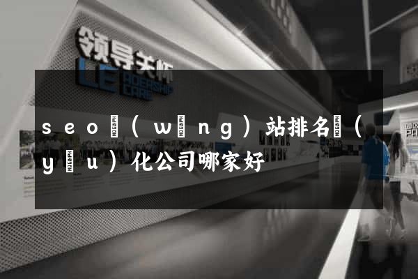 seo網(wǎng)站排名優(yōu)化公司哪家好