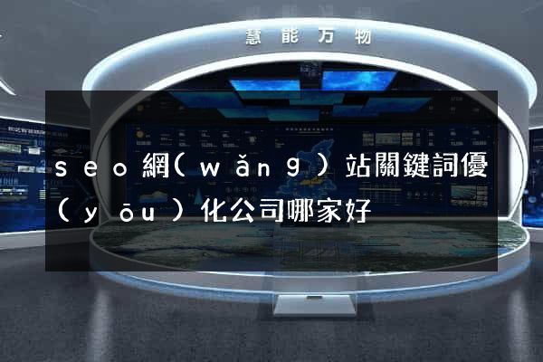 seo網(wǎng)站關鍵詞優(yōu)化公司哪家好