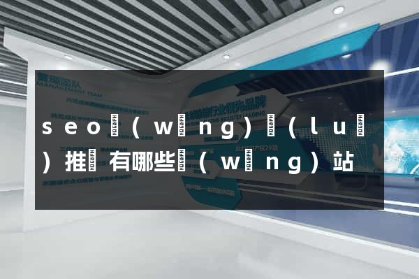 seo網(wǎng)絡(luò)推廣有哪些網(wǎng)站