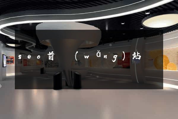 seo首頁網(wǎng)站