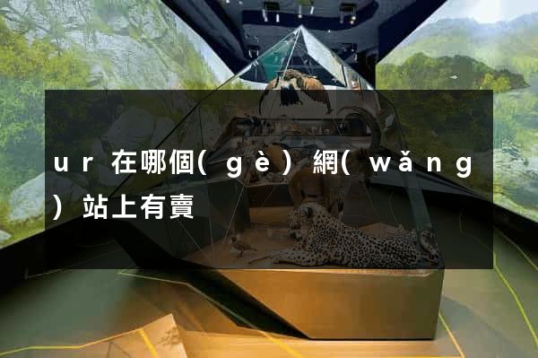 ur在哪個(gè)網(wǎng)站上有賣