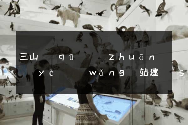 三山區(qū)專(zhuān)業(yè)網(wǎng)站建設(shè)