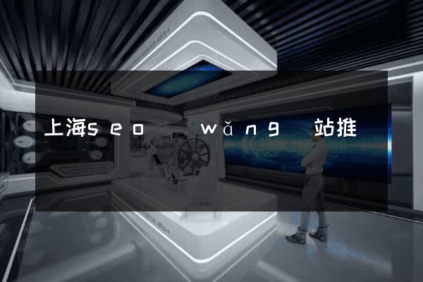 上海seo網(wǎng)站推廣