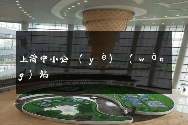 上海中小企業(yè)網(wǎng)站