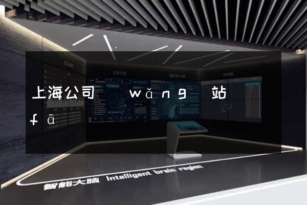 上海公司網(wǎng)站開發(fā)
