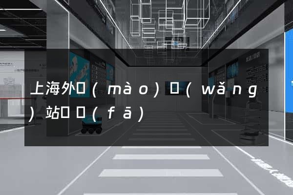 上海外貿(mào)網(wǎng)站開發(fā)