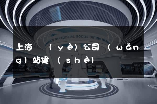 上海專業(yè)公司網(wǎng)站建設(shè)