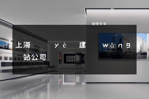 上海專業(yè)建網(wǎng)站公司