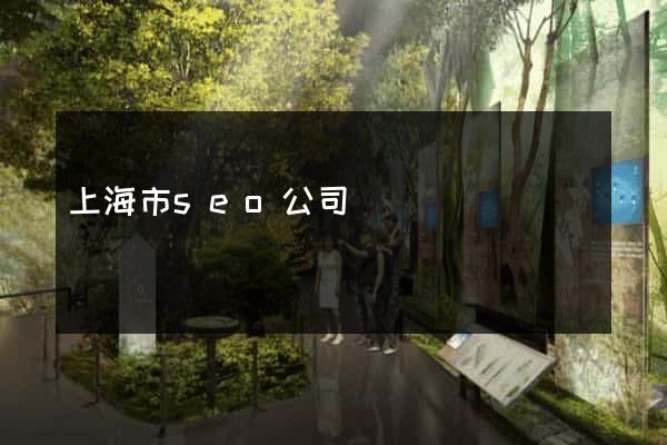上海市seo公司