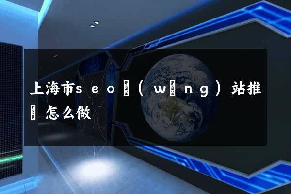 上海市seo網(wǎng)站推廣怎么做