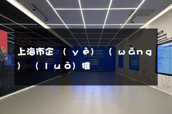 上海市企業(yè)網(wǎng)絡(luò)推廣