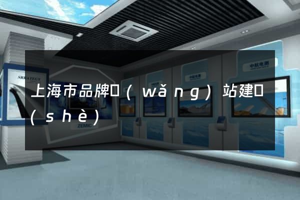上海市品牌網(wǎng)站建設(shè)