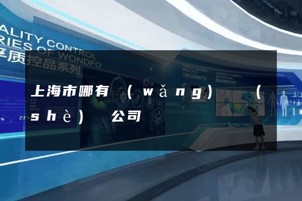 上海市哪有網(wǎng)頁設(shè)計公司