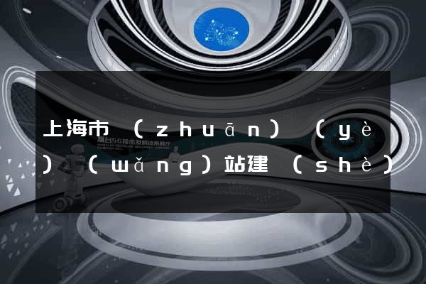上海市專(zhuān)業(yè)網(wǎng)站建設(shè)