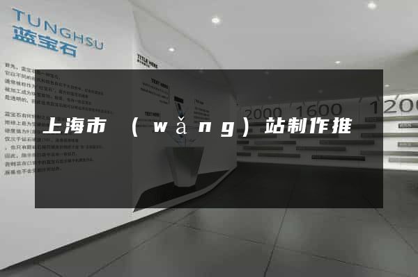 上海市網(wǎng)站制作推廣