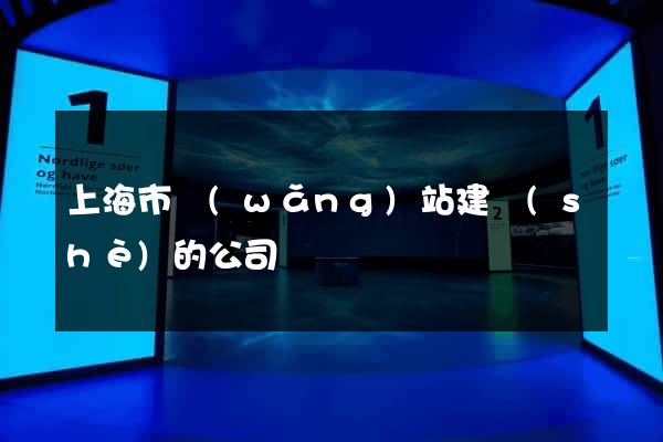 上海市網(wǎng)站建設(shè)的公司