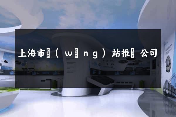 上海市網(wǎng)站推廣公司