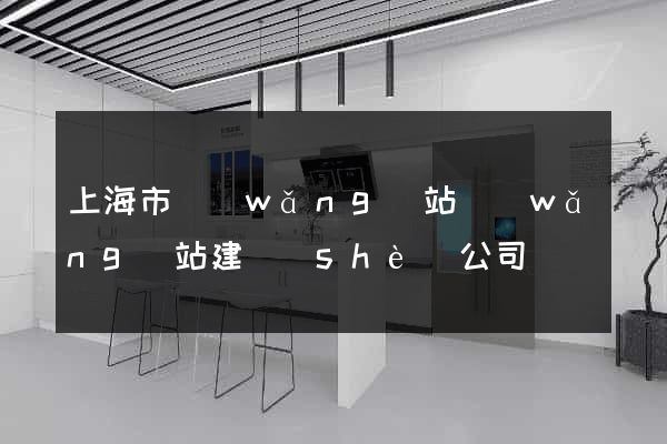 上海市網(wǎng)站網(wǎng)站建設(shè)公司