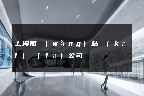 上海市網(wǎng)站開(kāi)發(fā)公司