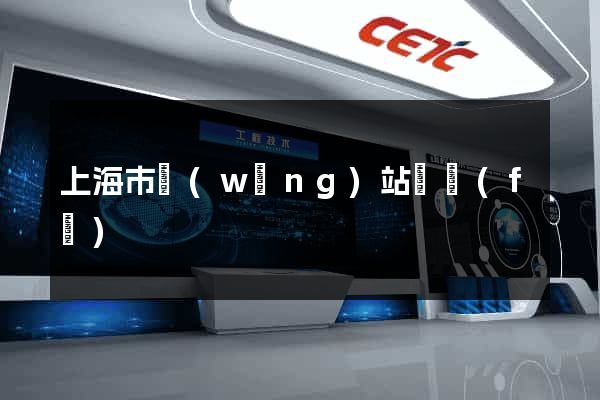 上海市網(wǎng)站開發(fā)
