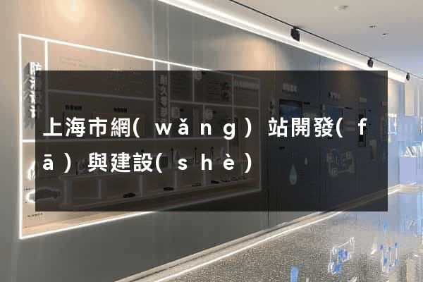 上海市網(wǎng)站開發(fā)與建設(shè)