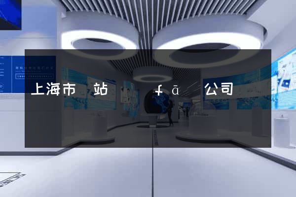 上海市網站開發(fā)公司