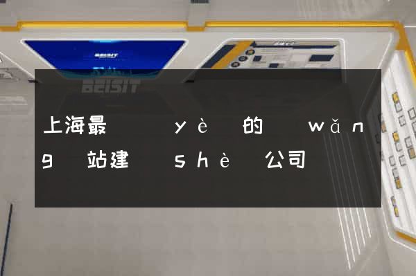 上海最專業(yè)的網(wǎng)站建設(shè)公司