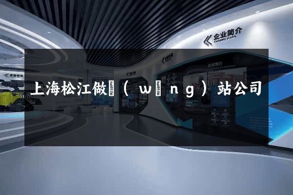 上海松江做網(wǎng)站公司