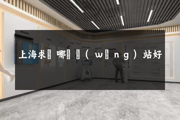 上海求職哪個網(wǎng)站好
