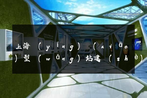 上海營(yíng)銷(xiāo)型網(wǎng)站建設(shè)