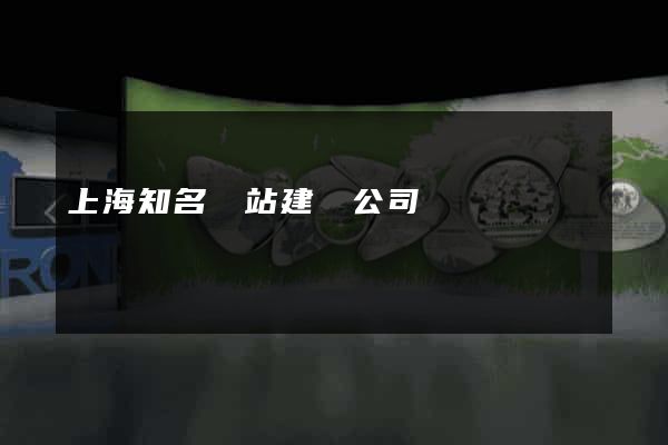 上海知名網站建設公司