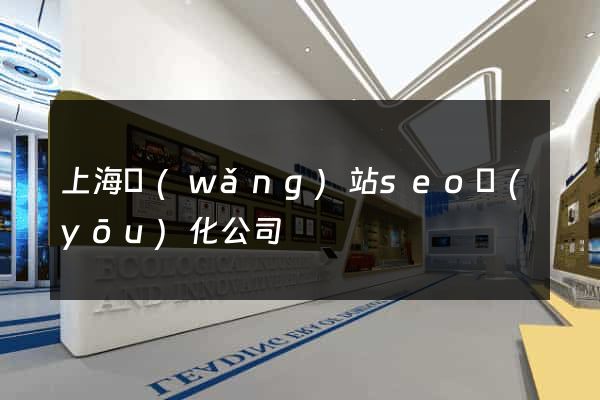 上海網(wǎng)站seo優(yōu)化公司