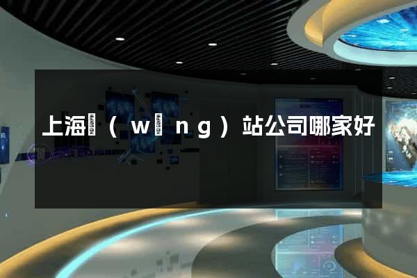 上海網(wǎng)站公司哪家好