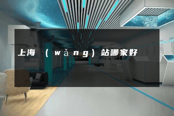上海網(wǎng)站哪家好