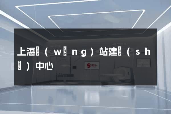 上海網(wǎng)站建設(shè)中心