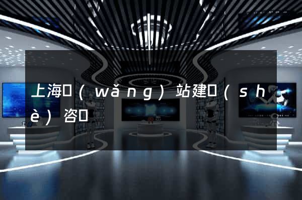 上海網(wǎng)站建設(shè)咨詢