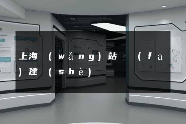上海網(wǎng)站開發(fā)建設(shè)