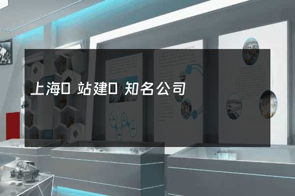 上海網站建設知名公司
