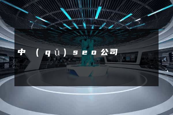 中區(qū)seo公司