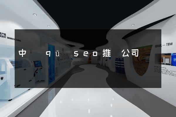 中區(qū)seo推廣公司
